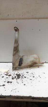 Vase de lave glace