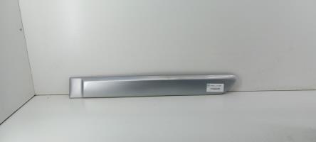 Baguette de porte arriere gauche 