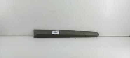 Baguette de porte arriere gauche 