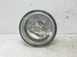 Fendinebbia sinistro (luce)