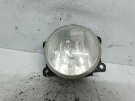 Fendinebbia sinistro (luce)