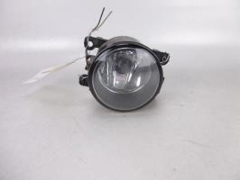 Fendinebbia sinistro (luce)