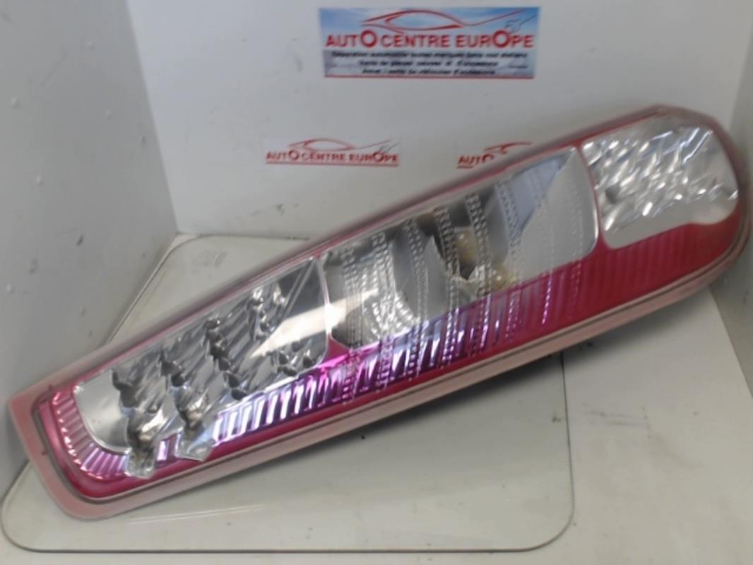 Fanale posteriore principale sinistro (luci)