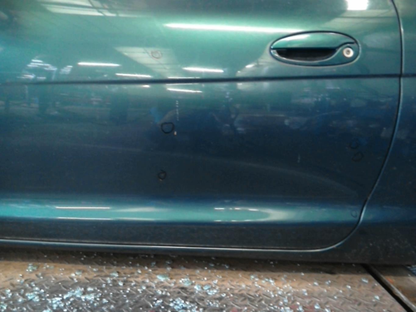 Porte avant gauche