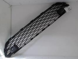 Grille de pare choc