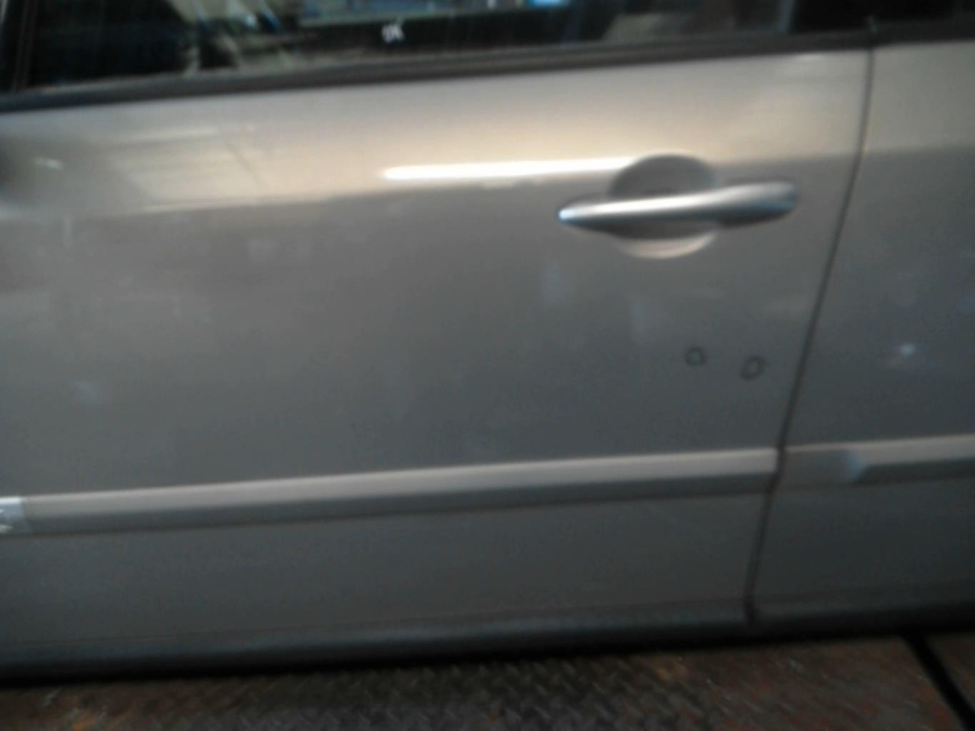 Porte avant gauche