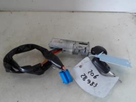 Immobilizzatore