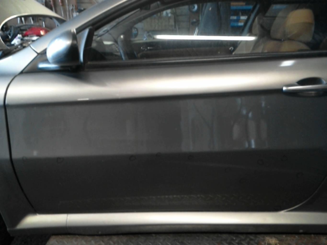 Porte avant gauche