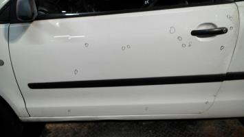 Porte avant gauche