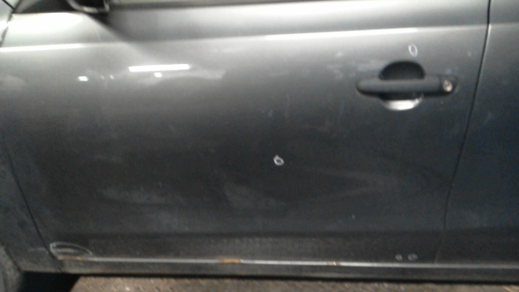 Porte avant gauche
