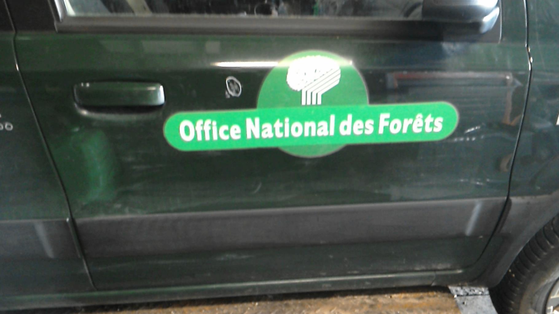 Porte avant droit