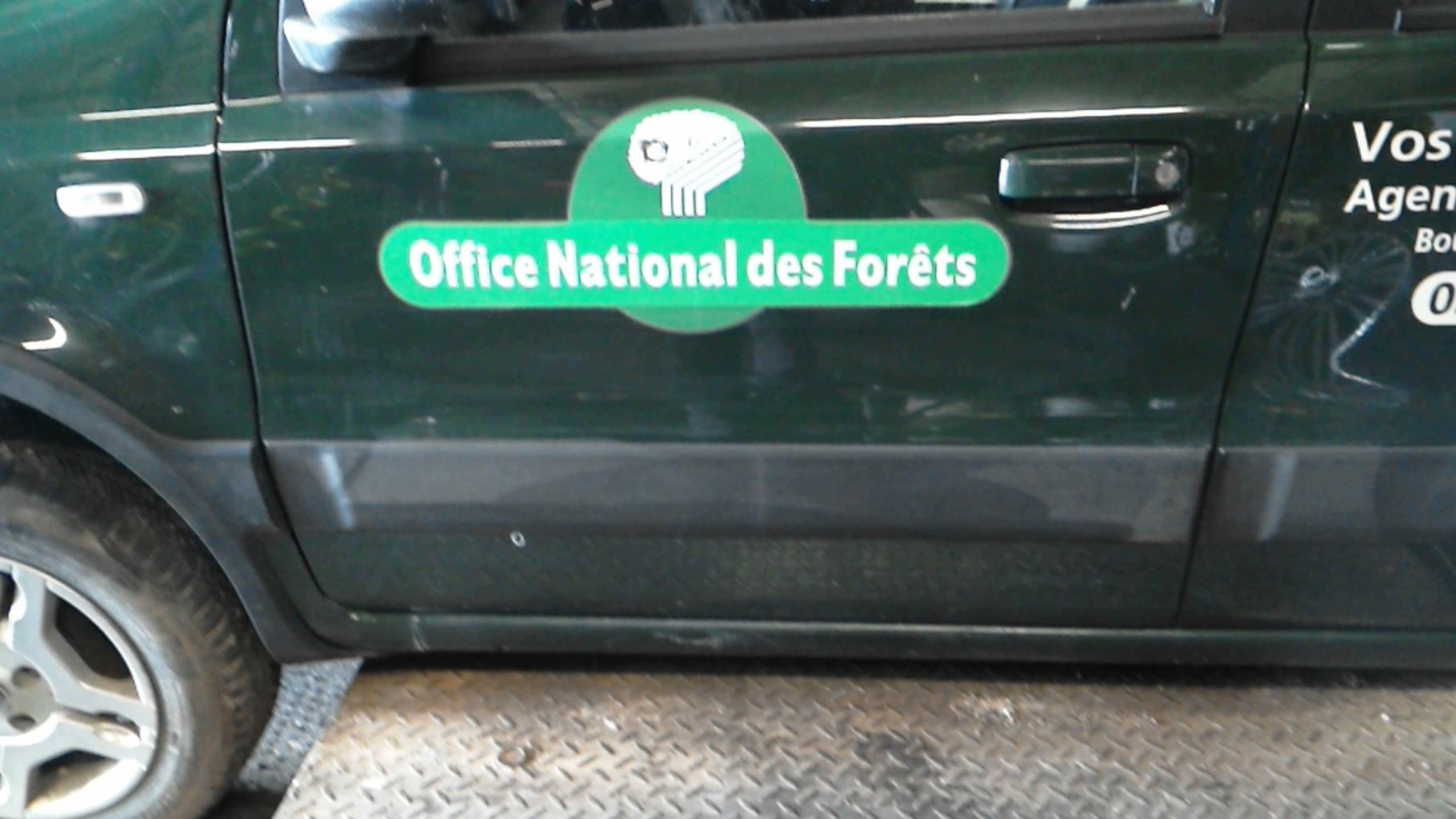 Porte avant gauche