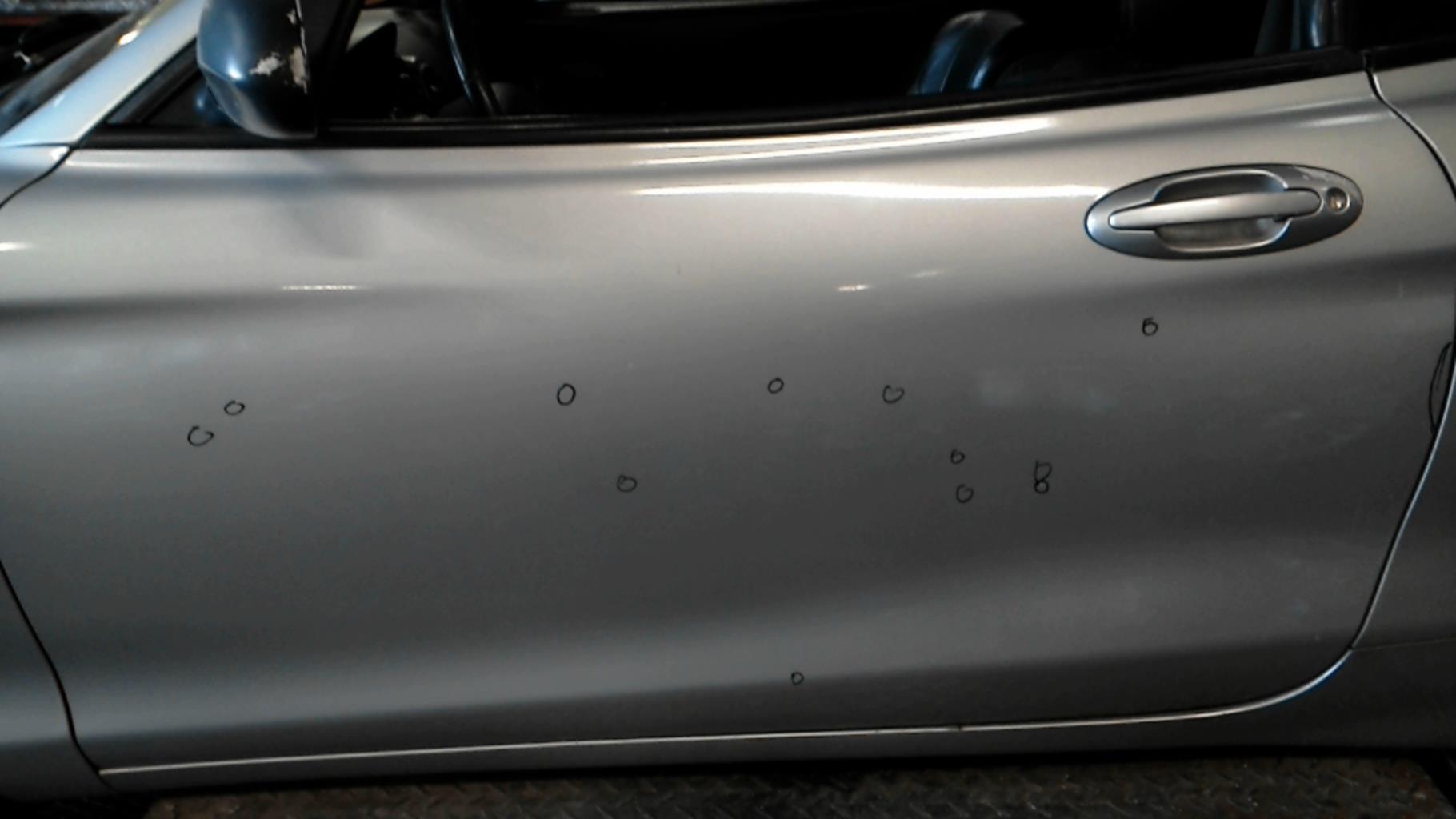 Porte avant gauche