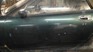 Porte avant gauche