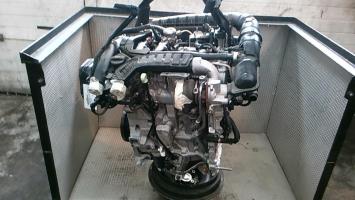 Motore