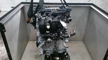 Motore