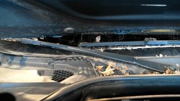 Bras essuie glace avant droit