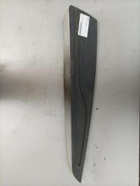 Baguette de porte arriere gauche 