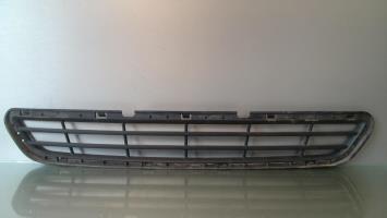 Grille de pare choc