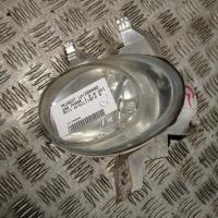 Fendinebbia sinistro (luce)