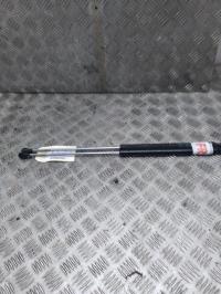 Molla a gas bagagliaio