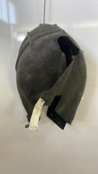 Parasale posteriore sinistro
