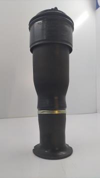 Cuscino pneumatico posteriore destro