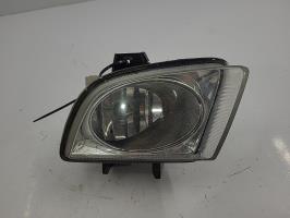 Fendinebbia sinistro (luce)