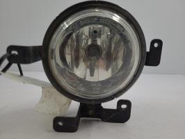 Fendinebbia sinistro (luce)