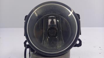 Fendinebbia sinistro (luce)
