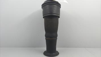 Cuscino pneumatico posteriore destro