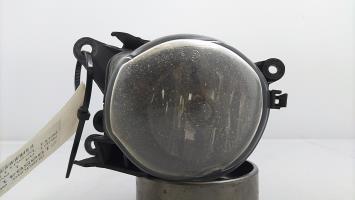 Fendinebbia sinistro (luce)
