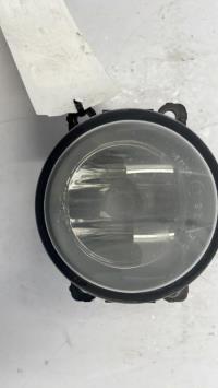 Fendinebbia sinistro (luce)