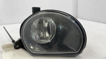 Fendinebbia sinistro (luce)