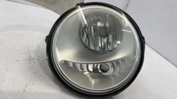 Fendinebbia sinistro (luce)
