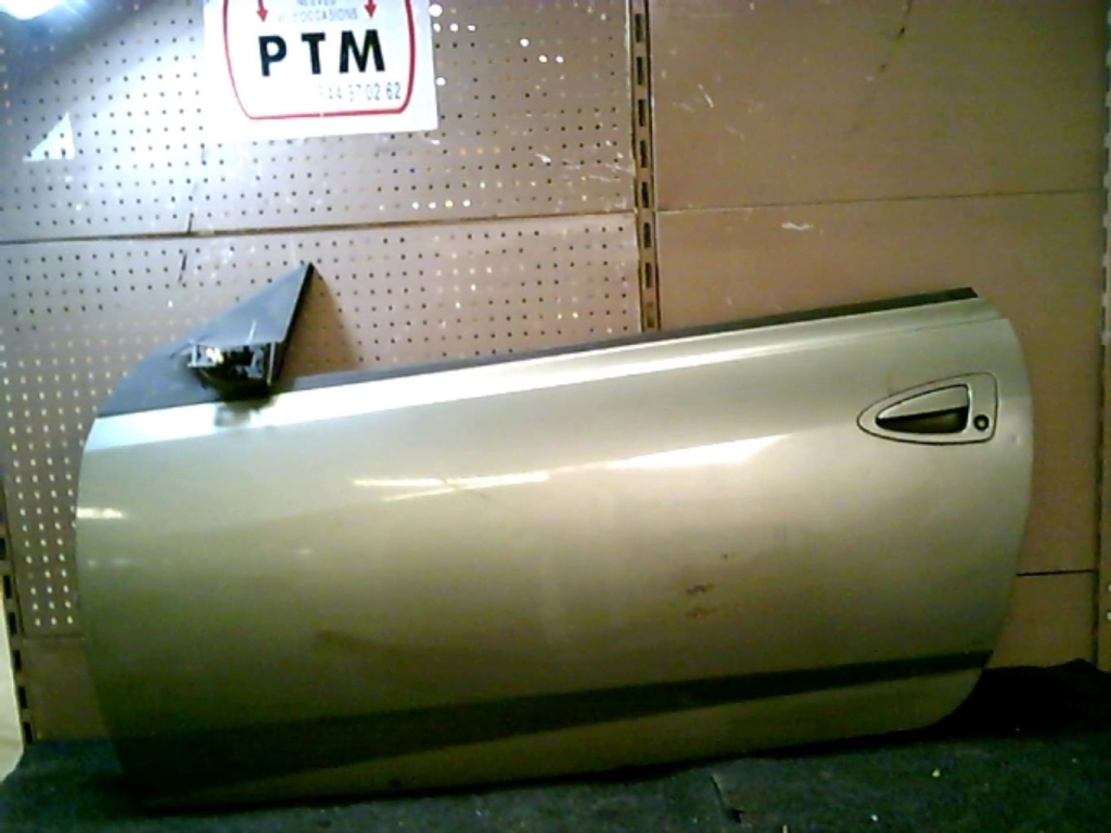 Porte avant gauche
