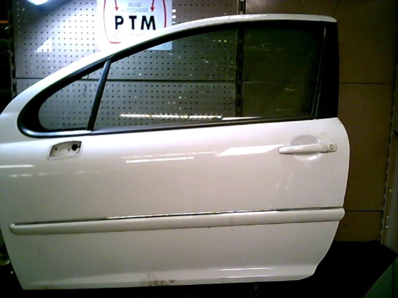 Porte avant gauche