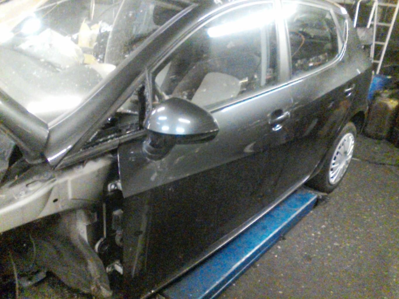 Porte avant gauche