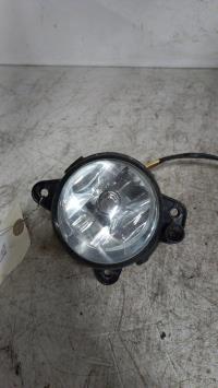 Fendinebbia sinistro (luce)