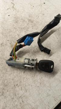 Immobilizzatore