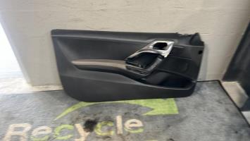 Panneau de porte avant gauche