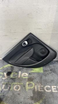 Panneau de porte arriere gauche