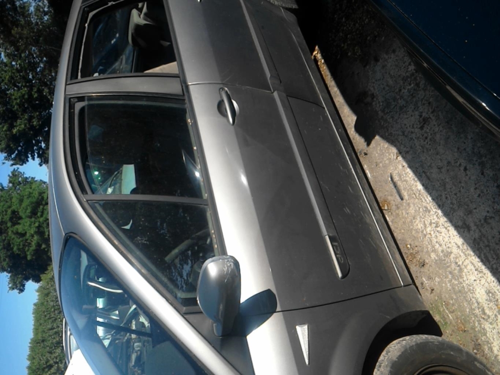 Porte avant gauche