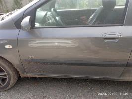 Porte avant gauche