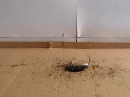 Pompe lave glace avant