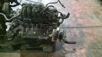 Motore