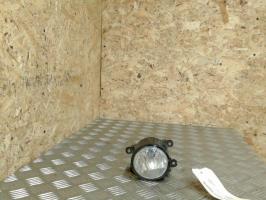 Fendinebbia sinistro (luce)