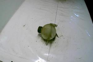 Vase d'expansion