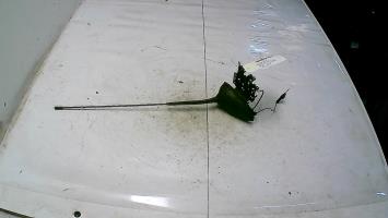 Antenne