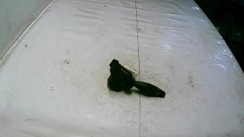 Commodo d'essuie glaces